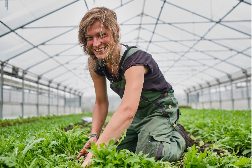 Mehr Bio für Erlangen, Nürnberg und Region